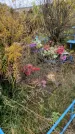 Захоронение ID 1307405