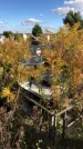Захоронение ID 1307612