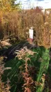 Захоронение ID 1307696