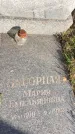 Захоронение ID 1307699