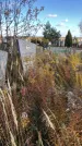 Захоронение ID 1307702