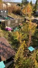 Захоронение ID 1307718