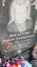 Захоронение ID 1307728