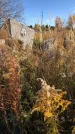 Захоронение ID 1307745