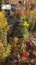 Захоронение ID 1307748