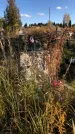 Захоронение ID 1307812