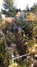 Захоронение ID 1307849