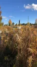 Захоронение ID 1307855