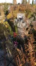 Захоронение ID 1307861