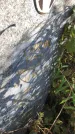 Захоронение ID 1307874