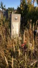 Захоронение ID 1307909