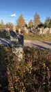 Захоронение ID 1308026