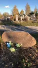 Захоронение ID 1308029