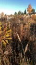 Захоронение ID 1308035