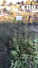 Захоронение ID 1308040