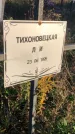 Захоронение ID 1308052