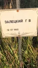 Захоронение ID 1308059