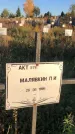 Захоронение ID 1308098