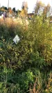 Захоронение ID 1308100