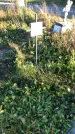 Захоронение ID 1308110