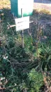 Захоронение ID 1308126