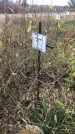 Захоронение ID 1308174