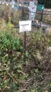 Захоронение ID 1308187