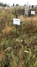 Захоронение ID 1308188