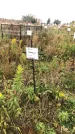 Захоронение ID 1308189