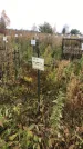 Захоронение ID 1308190