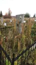 Захоронение ID 1308191