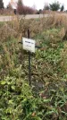Захоронение ID 1308195