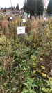 Захоронение ID 1308197