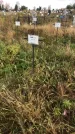 Захоронение ID 1308199