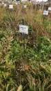 Захоронение ID 1308201