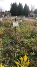 Захоронение ID 1308213