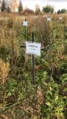 Захоронение ID 1308221
