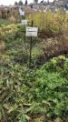 Захоронение ID 1308226