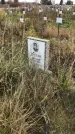 Захоронение ID 1308228