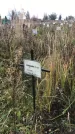 Захоронение ID 1308238