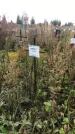 Захоронение ID 1308243