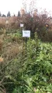 Захоронение ID 1308244