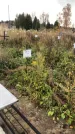 Захоронение ID 1308247