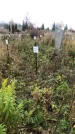 Захоронение ID 1308256