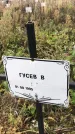 Захоронение ID 1308257