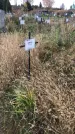 Захоронение ID 1308263