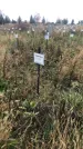 Захоронение ID 1308266
