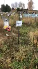 Захоронение ID 1308275