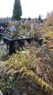Захоронение ID 1308322