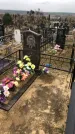 Захоронение ID 1308351
